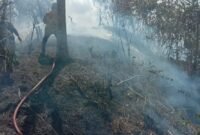 Personil BPBD Kabupaten Aceh Besar memadamkan kebakaran lahan di Kecamatan Lembah Seulawah. (BPBD Kabupaten Aceh Besar)