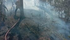 Personil BPBD Kabupaten Aceh Besar memadamkan kebakaran lahan di Kecamatan Lembah Seulawah. (BPBD Kabupaten Aceh Besar)