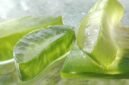 2. Inilah aloe vera, tanaman herbal dengan 75 senyawa aktif yang bermanfaat bagi kesehatan Anda. (Pixabay.com/mozo1901)
