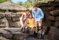 Bali Magical Adventure – Marine Safari Bali Brings a New Wave of Ocean Discovery to Southeast Asia